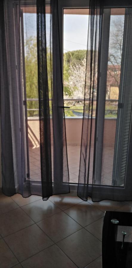 Apartman Valbandon Fažana Exterior foto